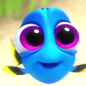 Meet your Posher, Norah